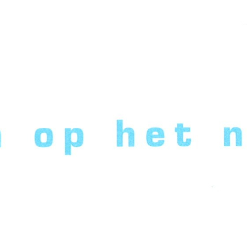 Logo Nes Noord.jpg