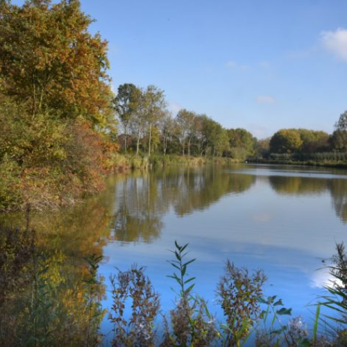 Parkrijk.jpg