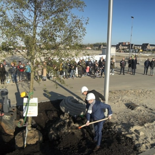 Boom planten 1 (Small).jpg