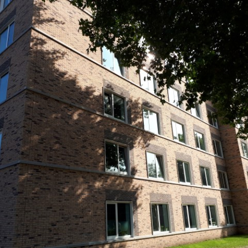 20200917_154332 (Small).jpg