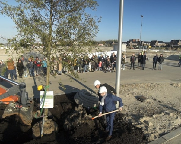Boom planten 1 (Small).jpg